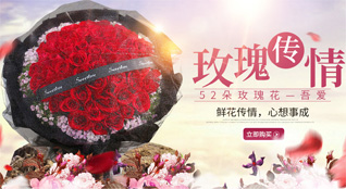 青海海南州贵南县过-镇鲜花速递